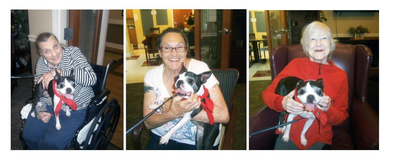 Heath House residents Angelina Palladino, Brenda Parker and Doraine Bell enjoy some snuggle time with Sadie