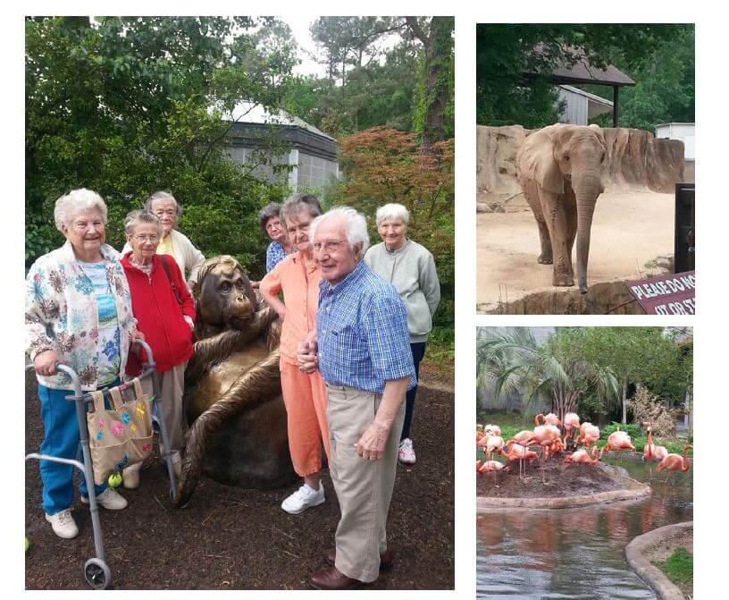 at the zoo are Pee Dee Gardens residents Florence Barton, Ann Cully, Evelyn Floyd, Faye Howle, Jennie Graham, Waddy Baroody and Pat Kale at the Riverbank Zoo and Gardens.