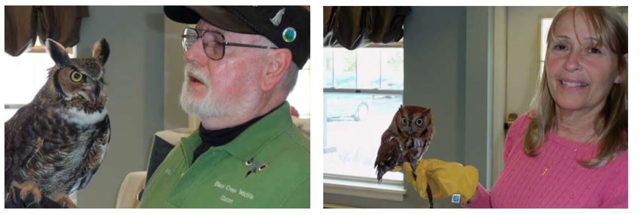 wildlife rehabilitator Gary Zimmerman and volunteer Nancy Foote holding the owls at Westwood Commons