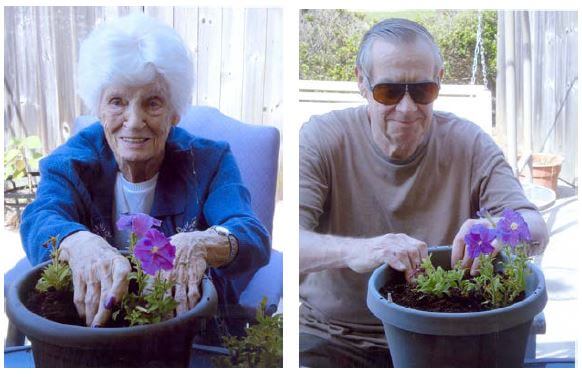 Wexford House residents planting flowers outside for gardening club