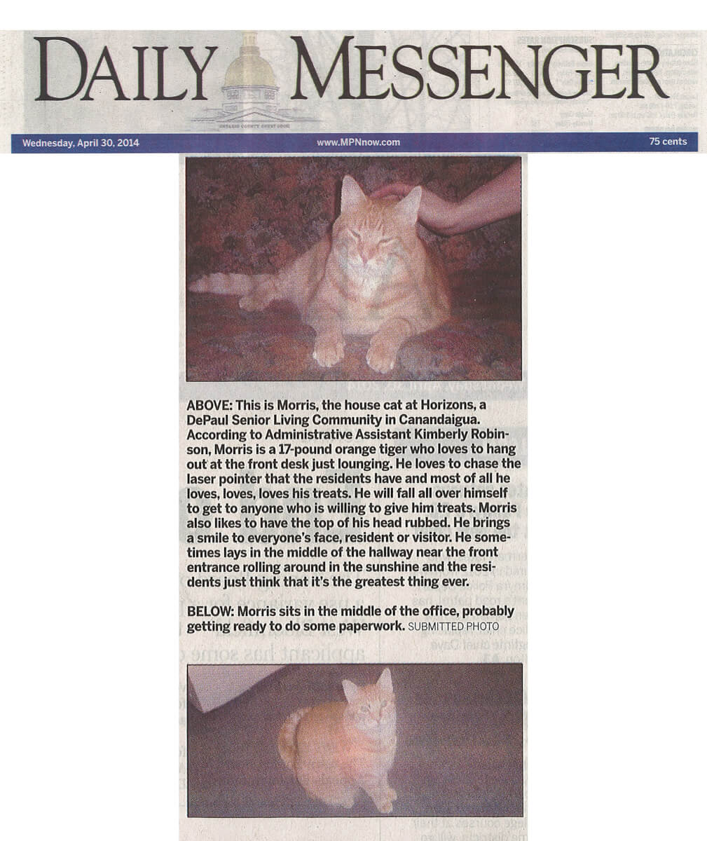 Horizons Assisted Living House Cat Morris in the Daily Messenger April 30, 2014