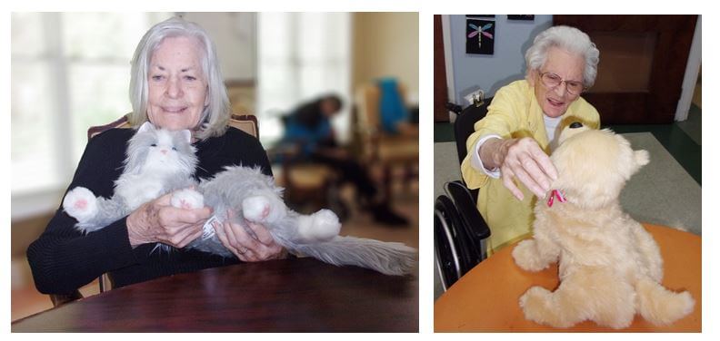 Southfork residents with  “Bonnie” the cat and “Clyde” the dog, two Hasbro Joy For All Companion Pets