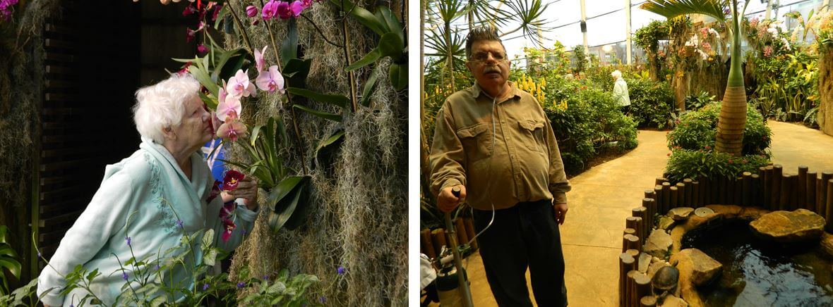  Woodcrest Commons resident Dolores Marshall takes a breath of spring while Doug Kurlan enjoys some tropical weather in the National Strong Museum of Play’s Dancing Wings Butterfly Garden