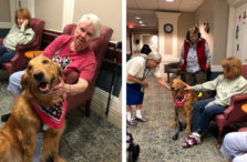 Woodcrest Commons Pet Therapy